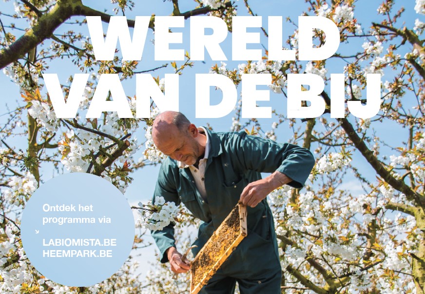Wereld van de Bij