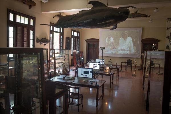 L.O.C.K. Biennial Cuba