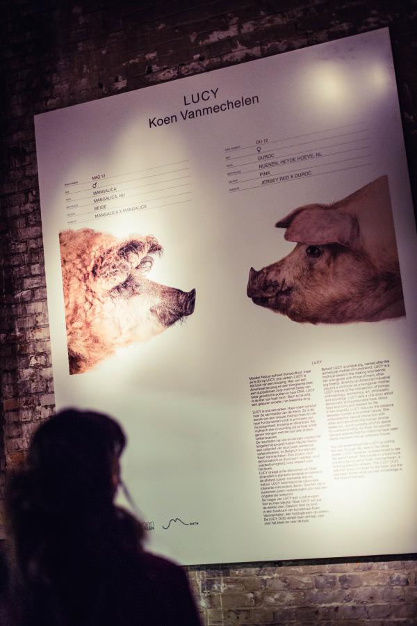 LUCY BOAR, MEATPACK, Antwerpen (BE) © Koen Vanmechelen, 2017 LUCY BOAR, MEATPACK, Antwerpen (BE) © Koen Vanmechelen, 2017