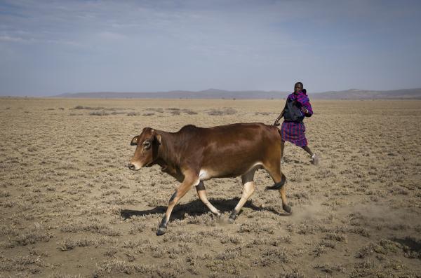 Sotwa, Tanzania © Koen Vanmechelen, photo Eliza Deacon