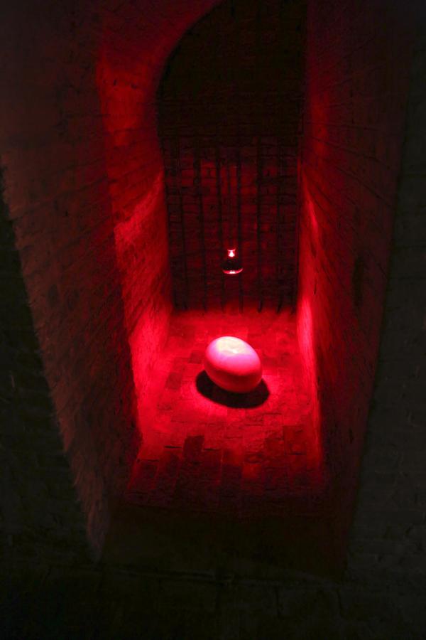 Darwin’s Dream, St Pancras Church, London (UK), © Koen Vanmechelen Expo, Darwin’s Dream, St Pancras Church, London (UK), © Koen Vanmechelen