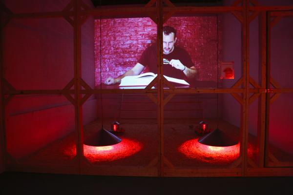 Decode, video installation, ENERGY/MASS, Detroit (US), 2016 © Koen Vanmechelen, photo Stoffel Hias Decode, video installation, ENERGY/MASS, Detroit (US), 2016 © Koen Vanmechelen, photo Stoffel Hias