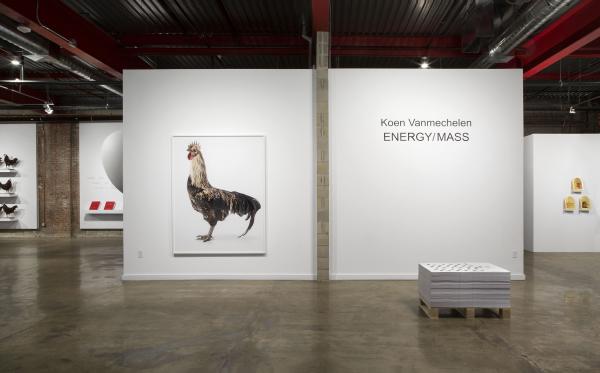 Expo, ENERGY/MASS, Wasserman Projects, Detroit (US), © Koen Vanmechelen