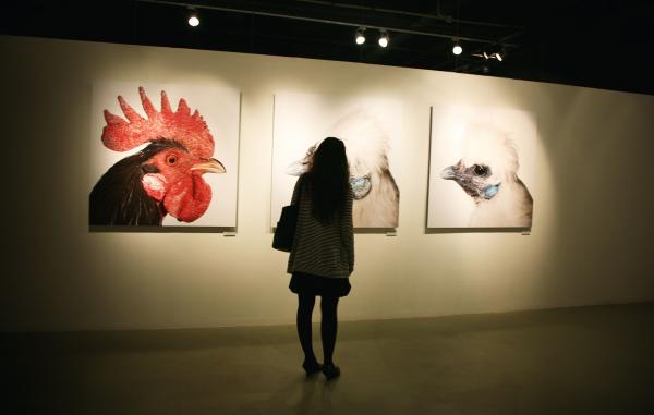 Cosmopolitan Chicken Project - 14th Generation: Mechelse Silkie, World Expo 2010 Shanghai, Zendai Museum of Modern Art, Shanghai (CN), 2010 © Koen Vanmechelen Expo, Cosmopolitan Chicken Project - 14th Generation: Mechelse Silkie, World Expo 2010 Shanghai, Zendai Museum of Modern Art, Shanghai (CN), 2010 © Koen Vanmechelen