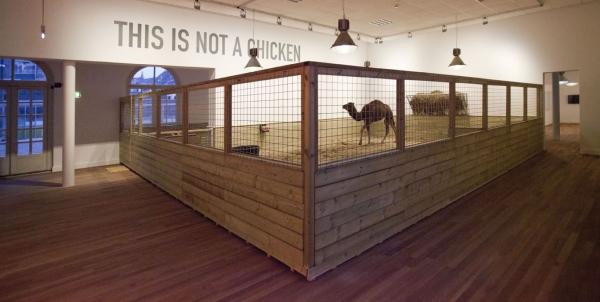 Expo, THIS IS NOT A CHICKEN Het Domein, Sittard (NL) © Koen Vanmechelen