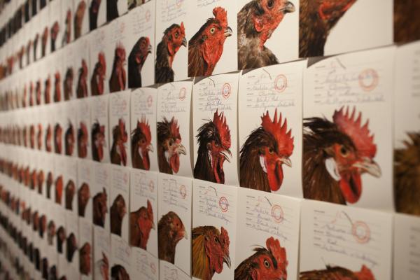 Expo, THIS IS NOT A CHICKEN Het Domein, Sittard (NL) © Koen Vanmechelen