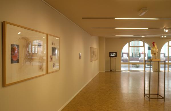 Expo, The Cosmopolitan Chicken - Desire, Vlaams Cultuurhuis De Brakke Grond, Amsterdam (NL) © Koen Vanmechelen 
