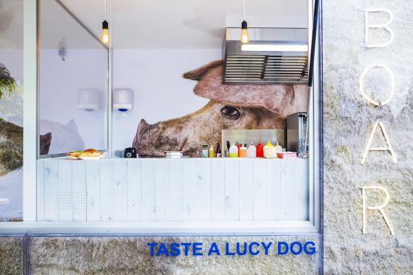 Lucyboar © Koen Vanmechelen