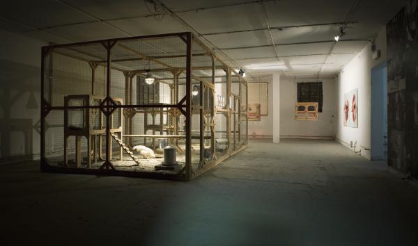 Nato A Venezia, 54th International Art Exhibition of the Venice Biennale, 2011 © Koen Vanmechelen Expo, Nato A Venezia, 54th International Art Exhibition of the Venice Biennale, 2011 © Koen Vanmechelen