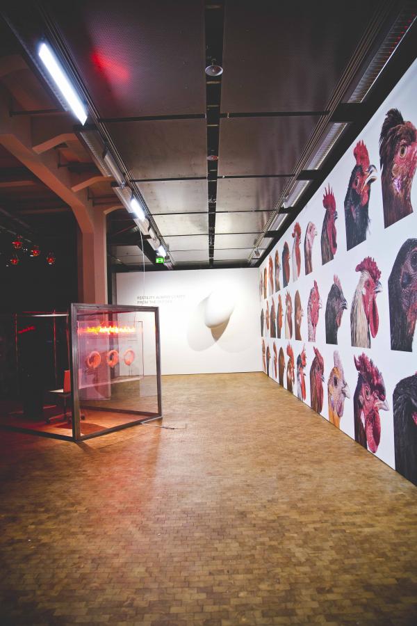 Expo, LA BIOMISTA COSMOPOLITAN CHICKEN PROJECT Exo-Evolution, Globale 2015, ZKM | Zentrum für Kunst und Medientechnologie Karlsruhe (DE), © Koen Vanmechelen