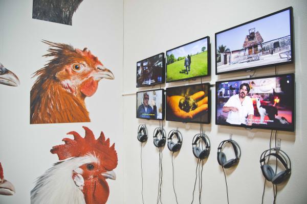 Expo, LA BIOMISTA COSMOPOLITAN CHICKEN PROJECT Exo-Evolution, Globale 2015, ZKM | Zentrum für Kunst und Medientechnologie Karlsruhe (DE), © Koen Vanmechelen