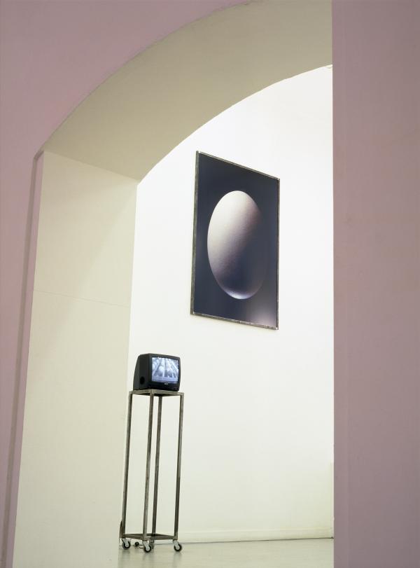 In de ban van de Ring Hasselt1999.jpg Expo In de ban van de Ring Hasselt1999.jpg