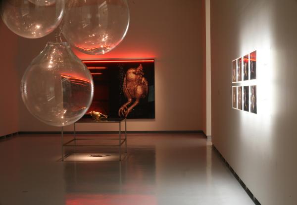 THE CHICKEN'S APPEAL, Museum Het Valkhof, Nijmegen, (NL) © Koen Vanmechelen Expo, THE CHICKEN'S APPEAL, Museum Het Valkhof, Nijmegen, (NL) © Koen Vanmechelen