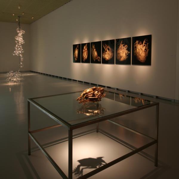 THE CHICKEN'S APPEAL, Museum Het Valkhof, Nijmegen, (NL) © Koen Vanmechelen Expo, THE CHICKEN'S APPEAL, Museum Het Valkhof, Nijmegen, (NL) © Koen Vanmechelen