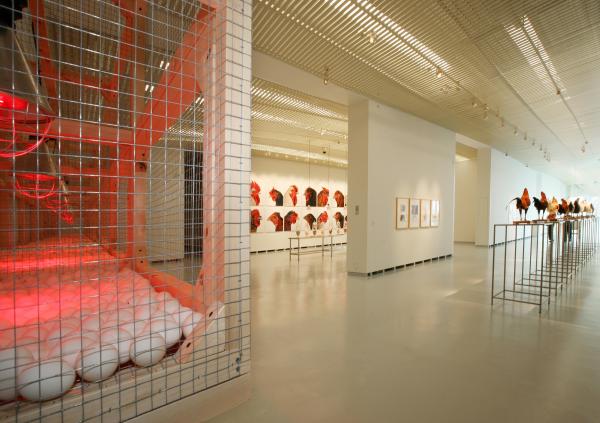 THE CHICKEN'S APPEAL, Museum Het Valkhof, Nijmegen, (NL) © Koen Vanmechelen Expo, THE CHICKEN'S APPEAL, Museum Het Valkhof, Nijmegen, (NL) © Koen Vanmechelen