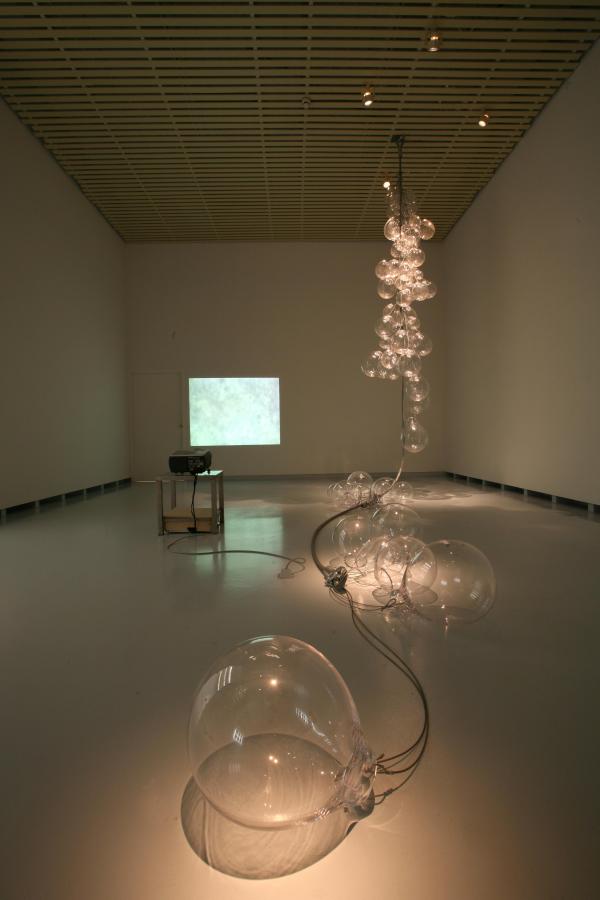 THE CHICKEN'S APPEAL, Museum Het Valkhof, Nijmegen, (NL) © Koen Vanmechelen Expo, THE CHICKEN'S APPEAL, Museum Het Valkhof, Nijmegen, (NL) © Koen Vanmechelen