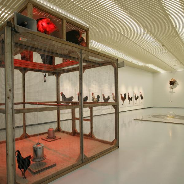 THE CHICKEN'S APPEAL, Museum Het Valkhof, Nijmegen, (NL) © Koen Vanmechelen THE CHICKEN'S APPEAL, Museum Het Valkhof, Nijmegen, (NL) © Koen Vanmechelen