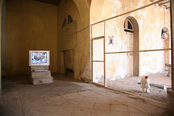 THE COSMOPOLITAN CHICKEN PROJECT - IN TRANSIT, ArtAids, Dakar, 2010 ( Senegal) © Koen Vanmechelen Expo, THE COSMOPOLITAN CHICKEN PROJECT - IN TRANSIT, ArtAids, Dakar, 2010 ( Senegal) © Koen Vanmechelen