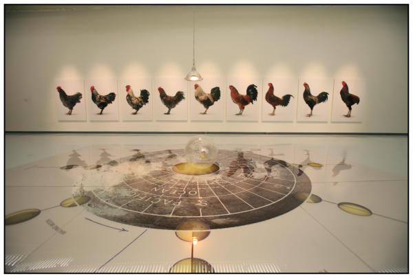 THE CHICKEN'S APPEAL, Museum Het Valkhof, Nijmegen, (NL) © Koen Vanmechelen Expo, THE CHICKEN'S APPEAL, Museum Het Valkhof, Nijmegen, (NL) © Koen Vanmechelen.jpg