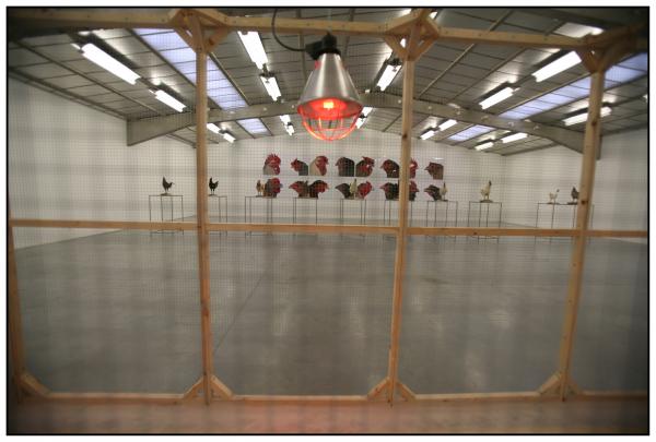 The Cosmopolitan Chicken Project / Ten generations, Deweer Art Gallery, Otegem, (B) Expo, The Cosmopolitan Chicken Project / Ten generations, Deweer Art Gallery, Otegem, (B)