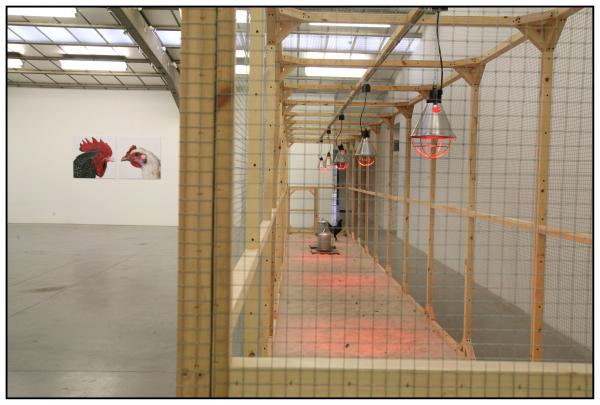 The Cosmopolitan Chicken Project / Ten generations, Deweer Art Gallery, Otegem, (B) Expo, The Cosmopolitan Chicken Project / Ten generations, Deweer Art Gallery, Otegem, (B)