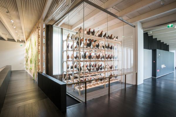 IT'S ABOUT TIME, Serlachius Museums, Mänttä (FI), 2019 © Koen Vanmechelen, photo by Kris Vervaeke