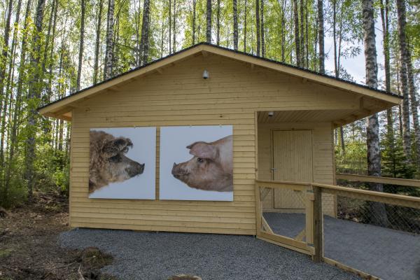 LUCY, IT'S ABOUT TIME, Serlachius Museums, Mänttä (FI), 2019 © Koen Vanmechelen, photo by Sampo Linkoneva