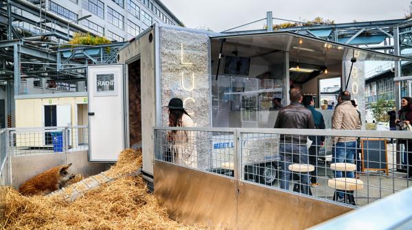 LUCY, Agri Meets Design Dutch Design Week, 2016 © Koen Vanmechelen