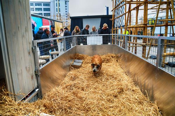 LUCY, Agri Meets Design Dutch Design Week, 2016 © Koen Vanmechelen
