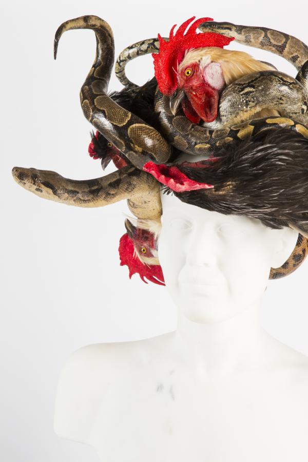 Medusa © Koen Vanmechelen