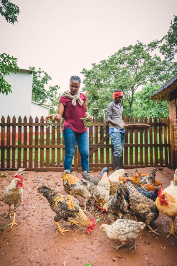 Chido Govera with the PCC at the Open Global Farm, Zimbabwe, photo Freunde von Freunde Chido Govera with the PCC at the Open Global Farm, Zimbabwe, photo Freunde von Freunde