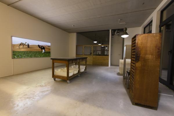 Awakener, Wilford X © Koen Vanmechelen, photo Alex Deyaert