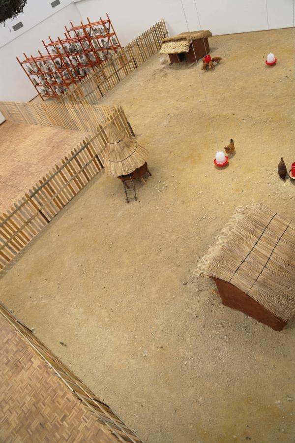 Planetary Community Chicken, National Gallery of Zimbabwe © Koen Vanmechelen Planetary Community Chicken, National Gallery of Zimbabwe © Koen Vanmechelen