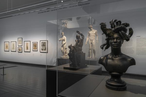 Medusa, Inspiration, Ateneum, Finland, 2020 © Koen Vanmechelen, photo by Hannu Pakarinen Medusa, Inspiration, Ateneum, Finland, 2020 © Koen Vanmechelen, photo by Hannu Pakarinen