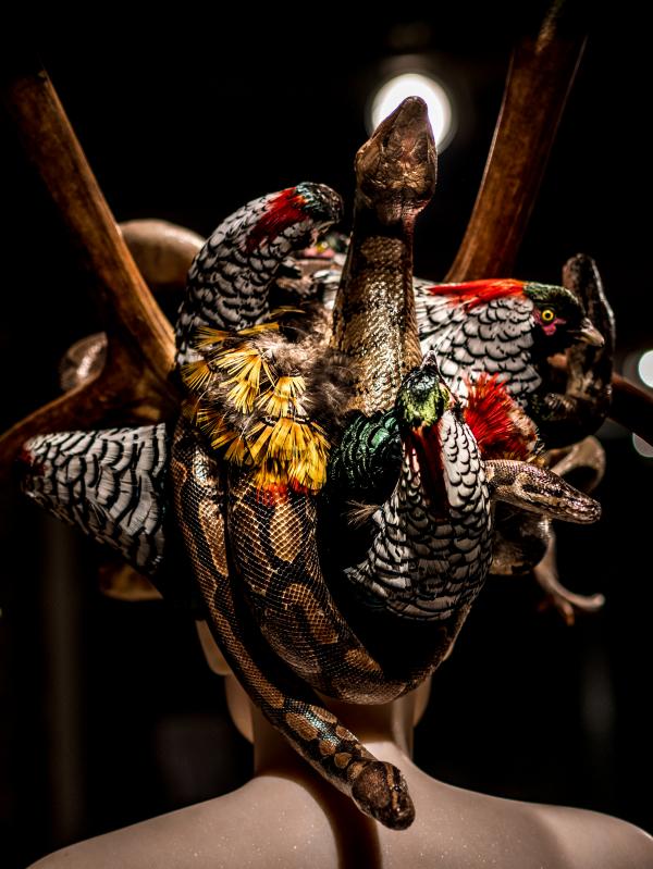 Do Not Argue, Louise Gallery, Durbuy (BE) © Koen Vanmechelen, 2020, Photo Charles Ruys