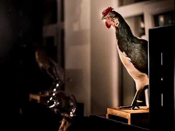 Do Not Argue, Louise Gallery, Durbuy (BE) © Koen Vanmechelen, 2020, Photo Charles Ruys