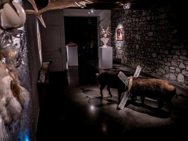 Do Not Argue, Louise Gallery, Durbuy (BE) © Koen Vanmechelen, 2020, Photo Charles Ruys