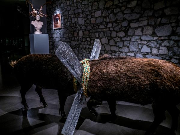 Do Not Argue, Louise Gallery, Durbuy (BE) © Koen Vanmechelen, 2020, Photo Charles Ruys