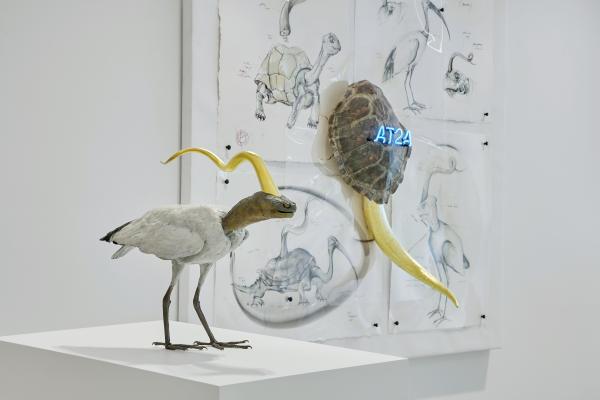 Golden Cord ©Koen Vanmechelen, Photo Gaétan Francken