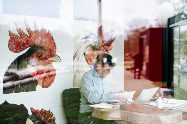 Bernard Vanheusden, photo by Boumediene Belbachir