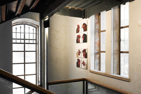 Crossquery, The Jerusalem Biennale, 2021 © Koen Vanmechelen, photo Dor Kedmi Crossquery, The Jerusalem Biennale, 2021 © Koen Vanmechelen, photo Dor Kedmi