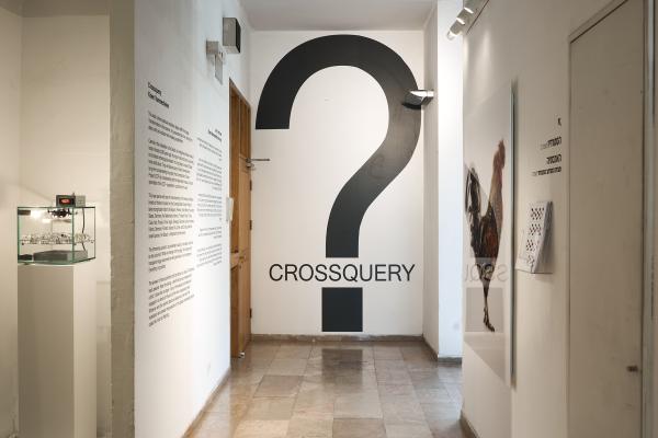 Crossquery, The Jerusalem Biennale, 2021 © Koen Vanmechelen, photo Dor Kedmi Crossquery, The Jerusalem Biennale, 2021 © Koen Vanmechelen, photo Dor Kedmi