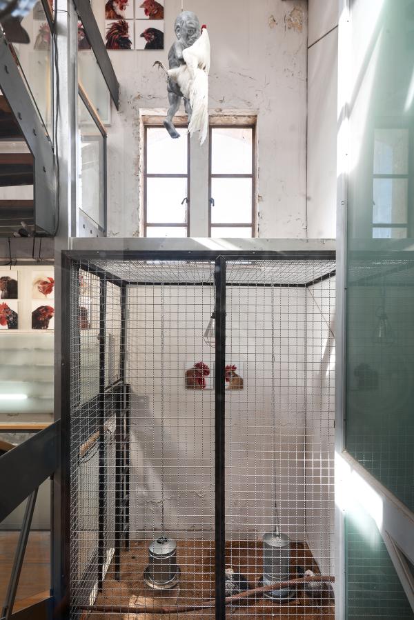 Crossquery, The Jerusalem Biennale, 2021 © Koen Vanmechelen, photo Dor Kedmi Crossquery, The Jerusalem Biennale, 2021 © Koen Vanmechelen, photo Dor Kedmi