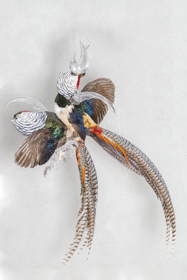 Therianthropy © Koen Vanmechelen, photo Pieter Simons