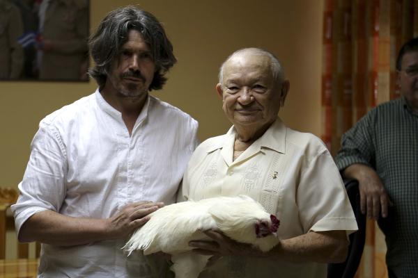 Koen Vanmechelen officially hands over the Cubalaya chicken to Commander of the Revolution Guillermo Garcia Frias. Arena de Evolución – L.O.C.K., 12 BIENAL DE LA HABANA (CU) Photo by Inge Kindt ©Koen Vanmechelen, 2015 Koen Vanmechelen officially hands over the Cubalaya chicken to Commander of the Revolution Guillermo Garcia Frias. Arena de Evolución – L.O.C.K., 12 BIENAL DE LA HABANA (CU) Photo by Inge Kindt ©Koen Vanmechelen, 2015