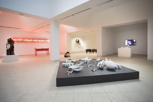 Medusa's Hope, Museo Nacional de Bellas Artes Cuba, Havana © Koen Vanmechelen, 2022, photo by Juan Carlos Romero