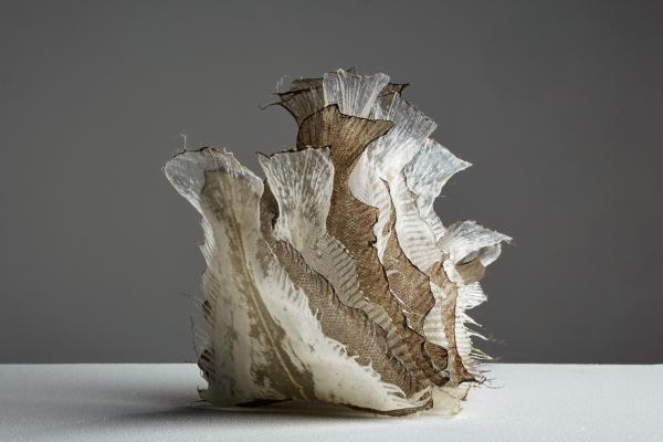 Dolores GOSSYE. La Luz, 2014. Collection de l'artiste. ©Barthélémy Decobecq.jpg Dolores GOSSYE. La Luz, 2014. Collection de l'artiste. ©Barthélémy Decobecq.jpg