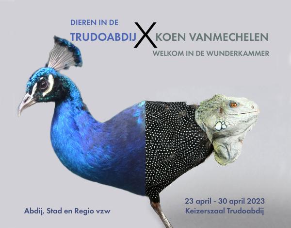 © Abdij, Stad en Regio vzw © Abdij, Stad en Regio vzw