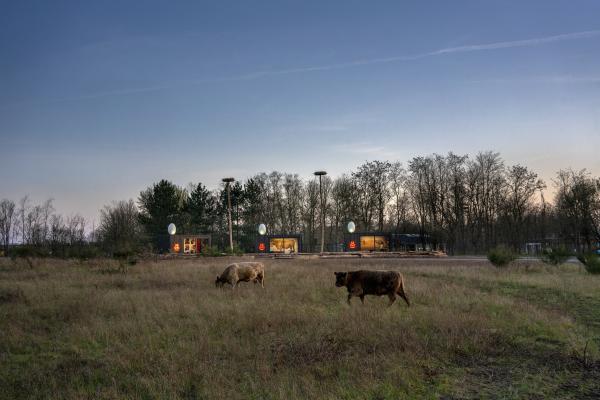 LaMouseion ©Koen Vanmechelen photo by Kris Vervaeke 2021