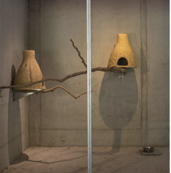 The Trilogy of Restricted Movement by Marie Nys & Quinten De Wilde 